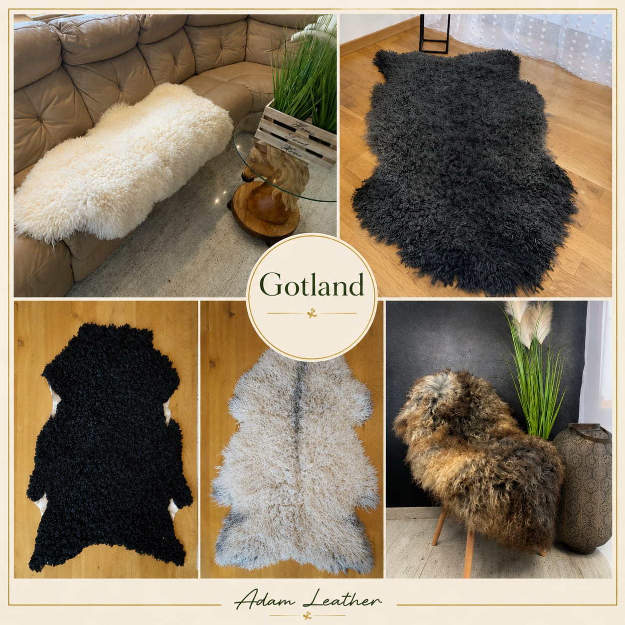 Curly Gotland Sheepskins, Premium